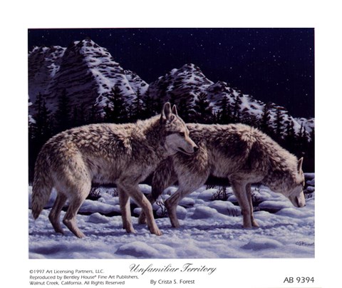 Framed Unfamiliar Territory Print