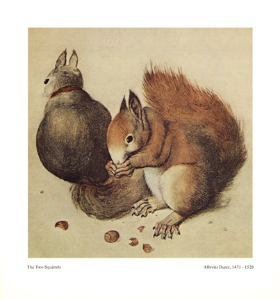 Framed Squirrels, c.1512 Print