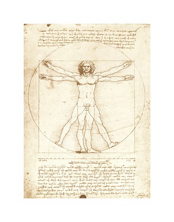 Framed Vitruvian Man, 1492 Print