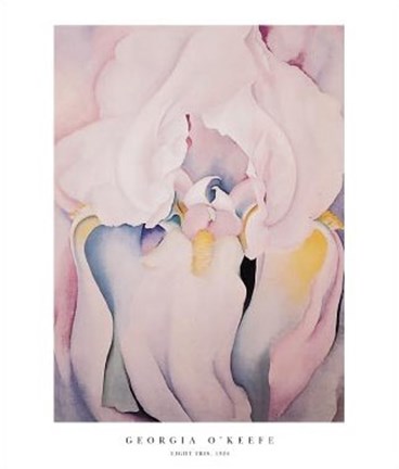 Framed Light Iris, 1924 Print