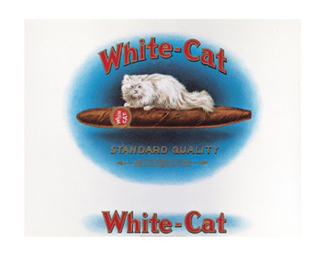 Framed White Cat Print