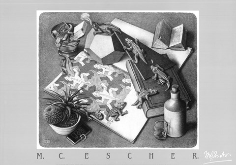 Framed Reptiles Print