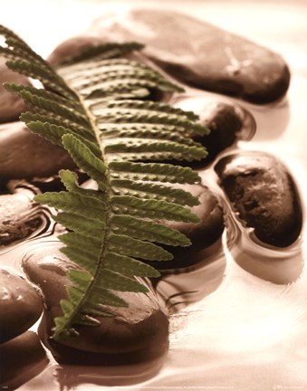 Framed Spring Retreat I Print