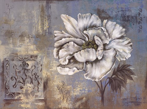 Framed Inspired Blossom II Print