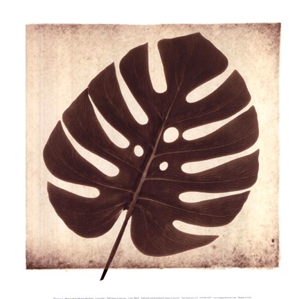 Framed Monstera I Print