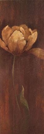 Framed Golden Tulip I Print