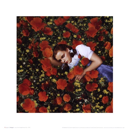 Framed Wizard of Oz - Dorothy Poppies Print