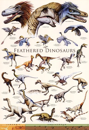 Framed Feathered Dinosaurs II Print