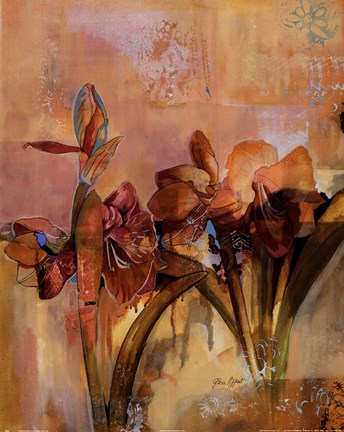 Framed Wild Amaryllis Print