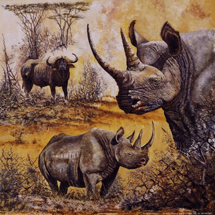 Framed Safari I Print