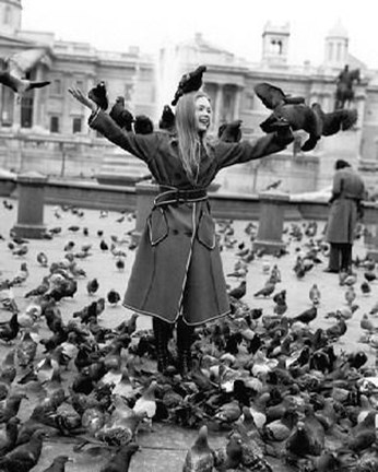 Framed Judi Bowker Print