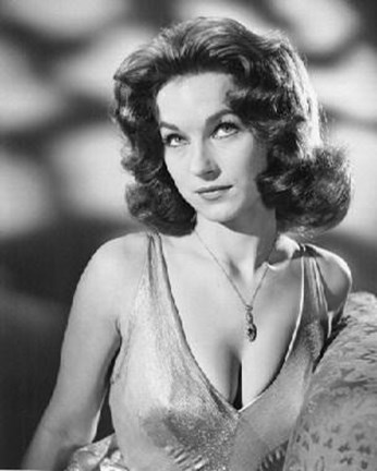 Framed Shirley Ann Field Print