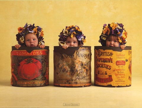 Framed Anne's Pansies Print