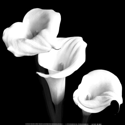 Framed Sisters Print