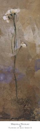 Framed Flowers Of June Series II Print