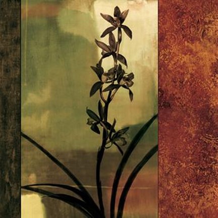 Framed Mesmerized I Print