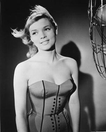 Framed Agnes Laurent Print