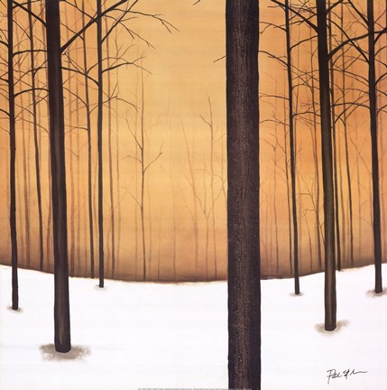 Framed Golden Twilight Print