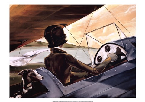 Framed Mediterranean Flight Print