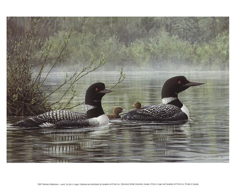 Framed Northern Reflections - Loons Print