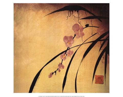 Framed Elegance II Print