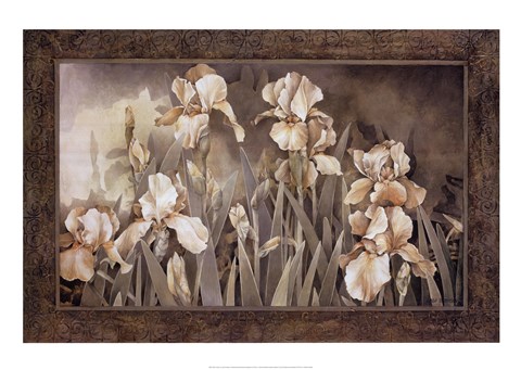 Framed Field of Irises Print