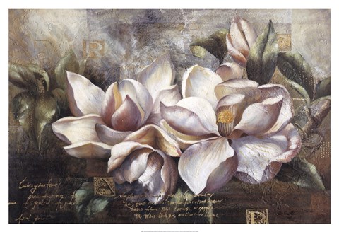Framed Dawning Magnolias Print