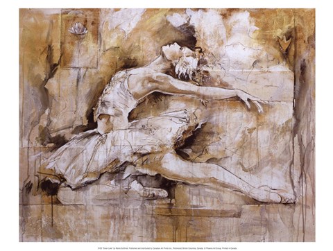 Framed Swan Lake Print