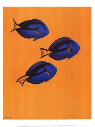 Framed Regal Tangs Print