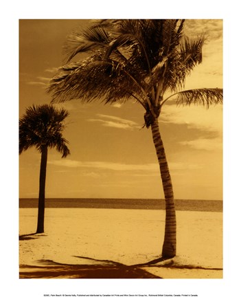 Framed Palm Beach I Print