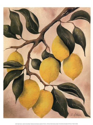 Framed Italian Harvest - Lemons Print