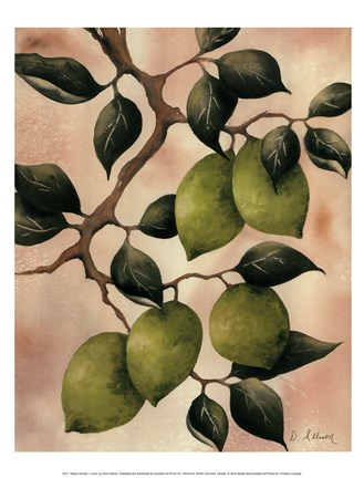 Framed Italian Harvest - Limes Print