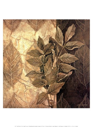 Framed Leaf Patterns IV Print
