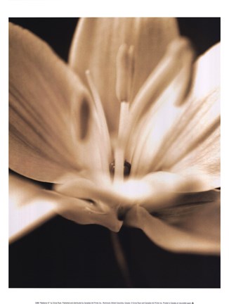 Framed Radiance III Print