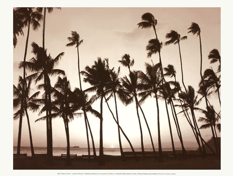 Framed Platinum Palms I Print