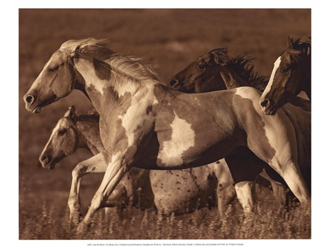 Framed Like the Wind I Print