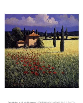 Framed Summer's Brilliance Print