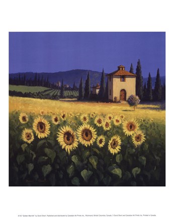 Framed Golden Warmth Print