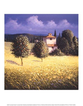 Framed Sun Kissed Orchard II Print