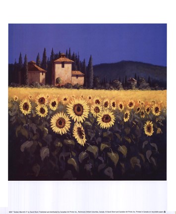 Framed Golden Warmth II Print