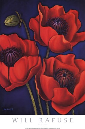 Framed Poppies Print