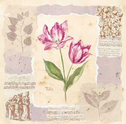 Framed Renaissance Tulip Print