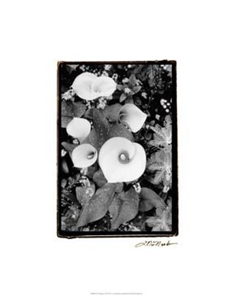 Framed Floral Elegance II Print
