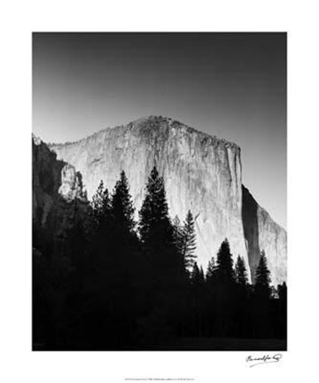 Framed El Capitan In Trees Print