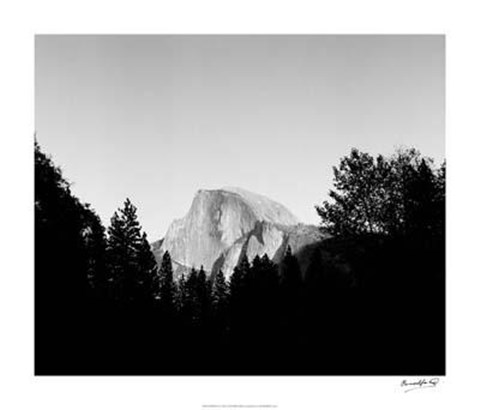 Framed Half Dome In Trees Print