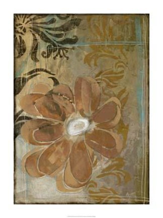 Framed Floral Abstraction II Print