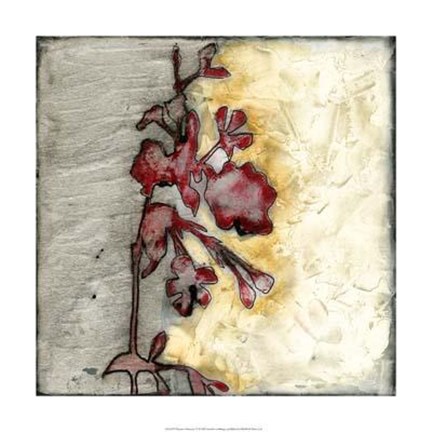 Framed Platinum Silhouette IV Print