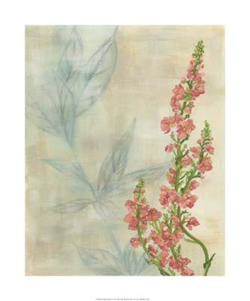 Framed Spring Harvest II Print