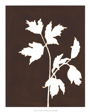 Framed Four Seasons Foliage IV Print