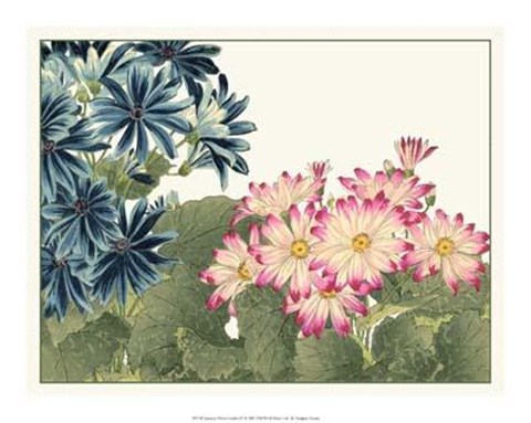 Framed Japanese Flower Garden IV Print